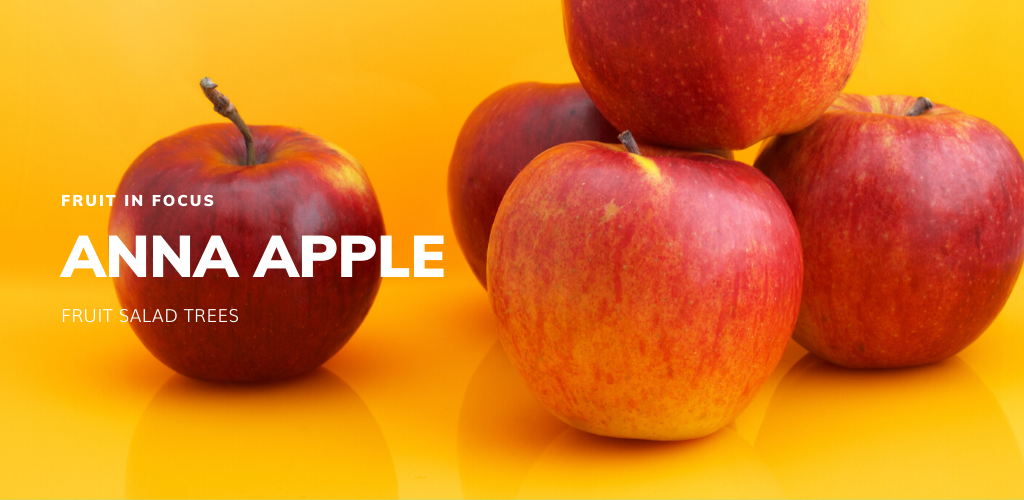 Fruit in Focus | Anna Apple – Fruit Salad Trees