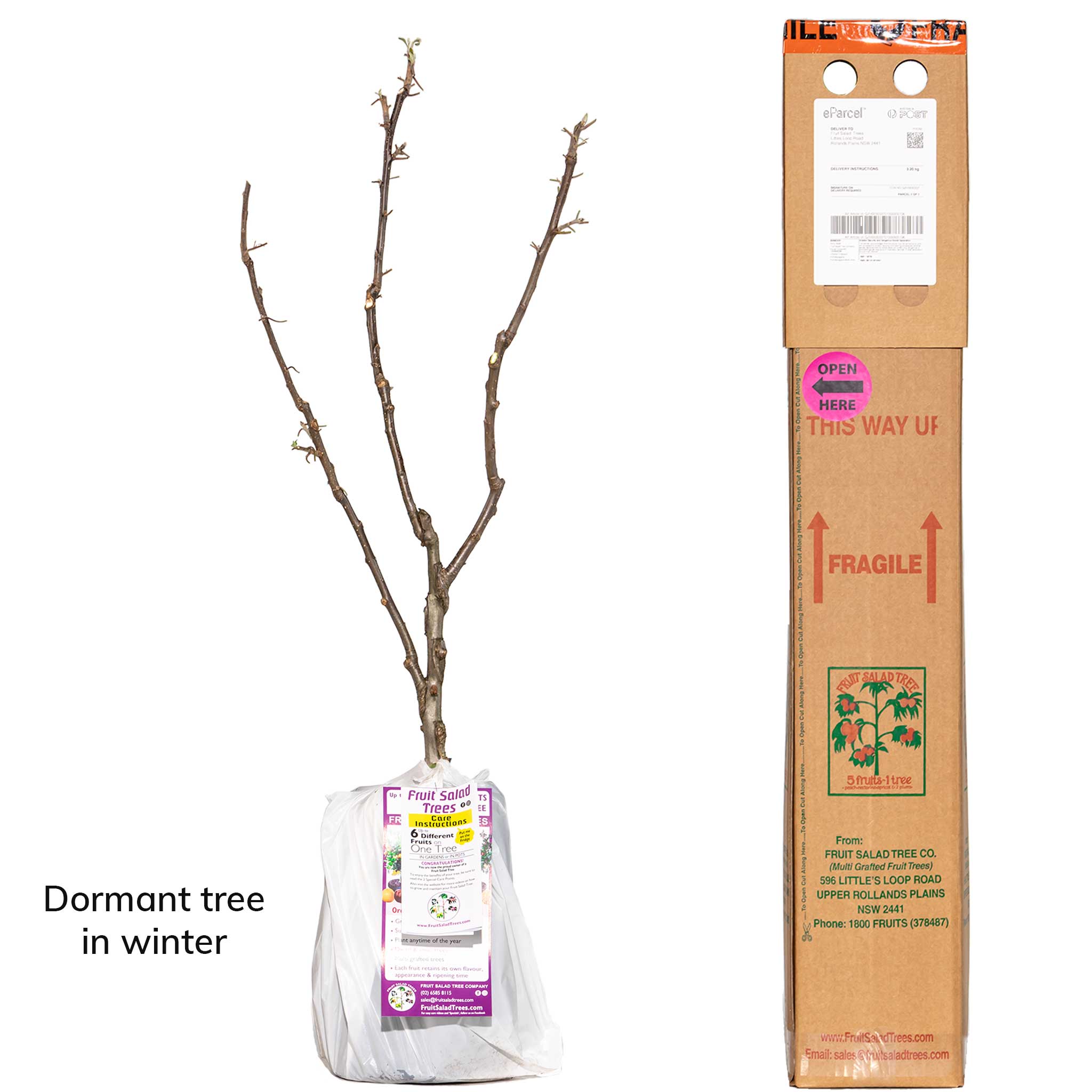 Red Apple + Green Apple + Yellow Apple