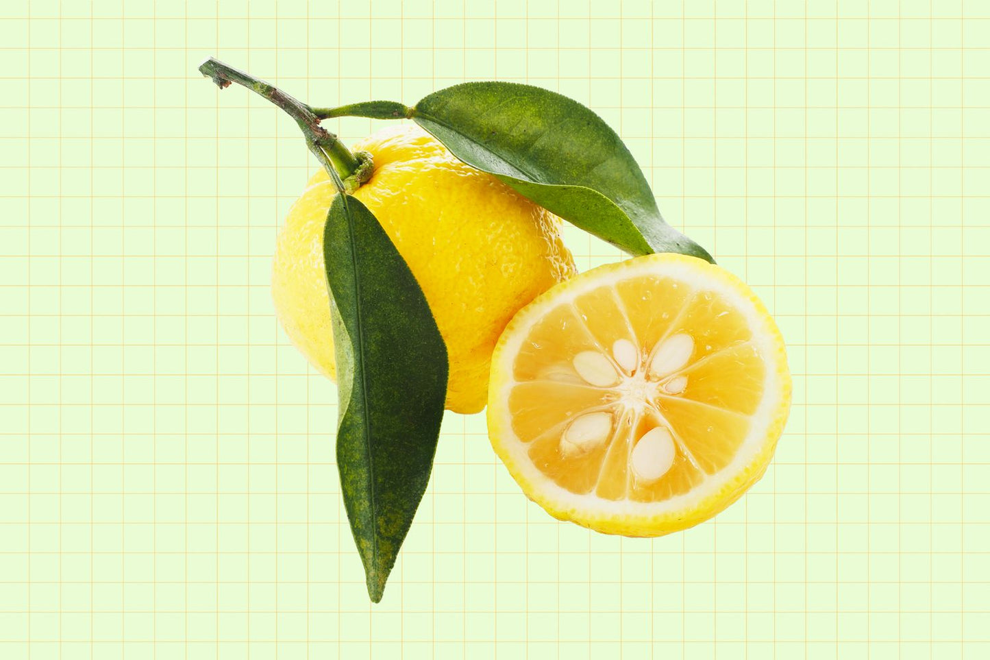Lemon