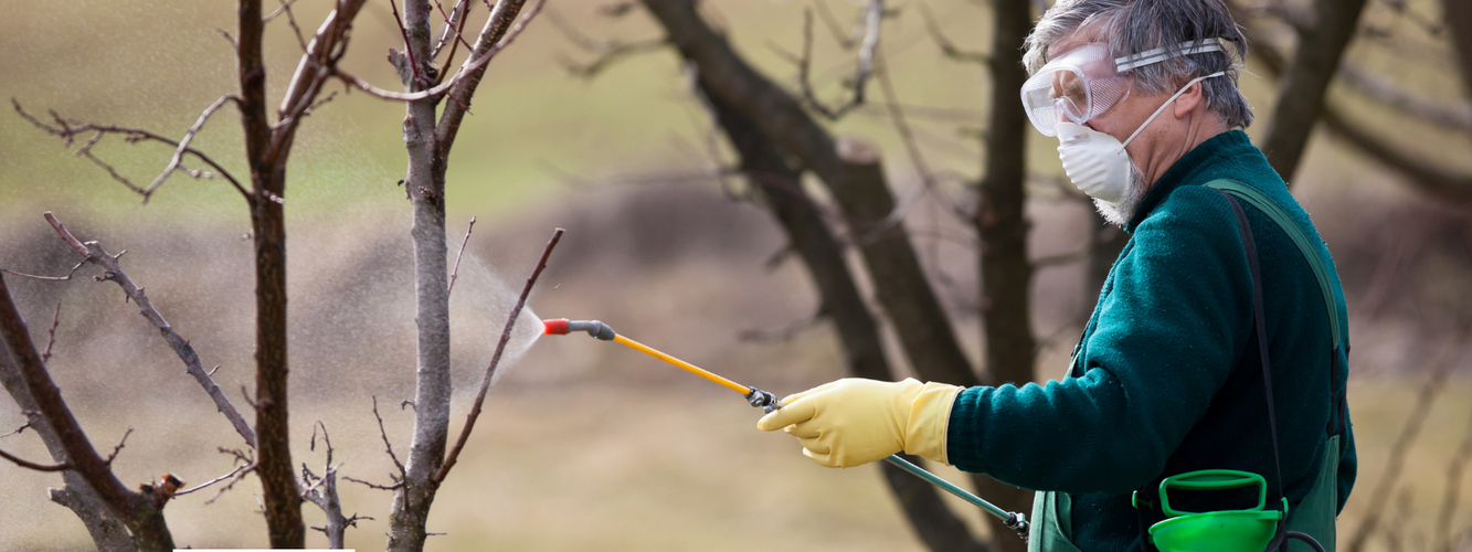 Winter Spraying: Stone Fruit Trees