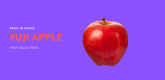 red apple variety grown on a fruit salad tree 