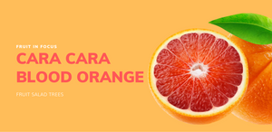 Cara Cara Blood Orange grows in All Australian Climates very sweet with pink flesh and no veins