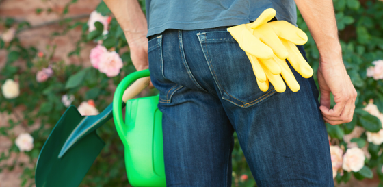 10 must have items for beginner gardeners for balcony and edible gardens