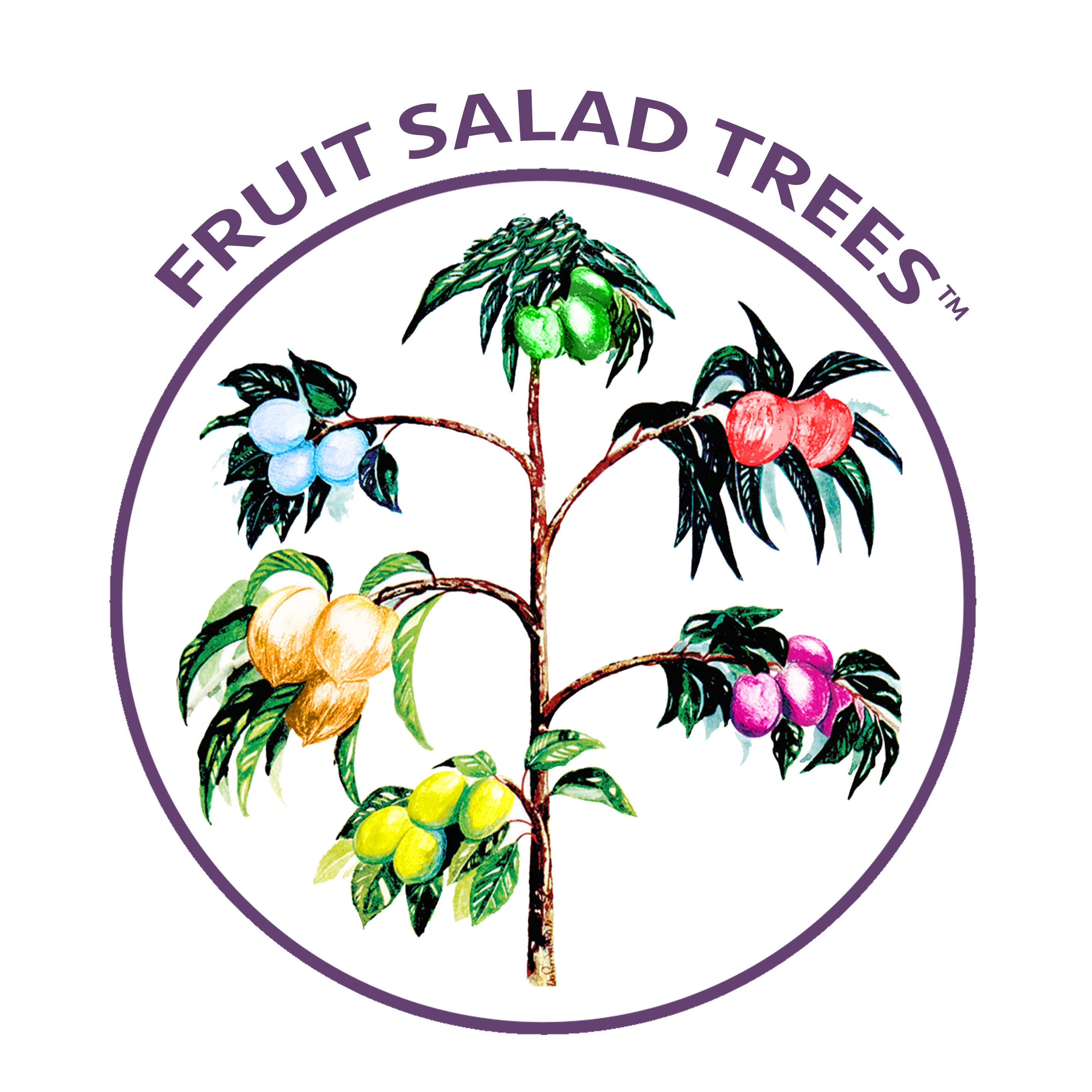 All  Fruit Salad Trees
