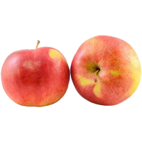 Red Apple - Single varieties which need another Apple to pollinate them!