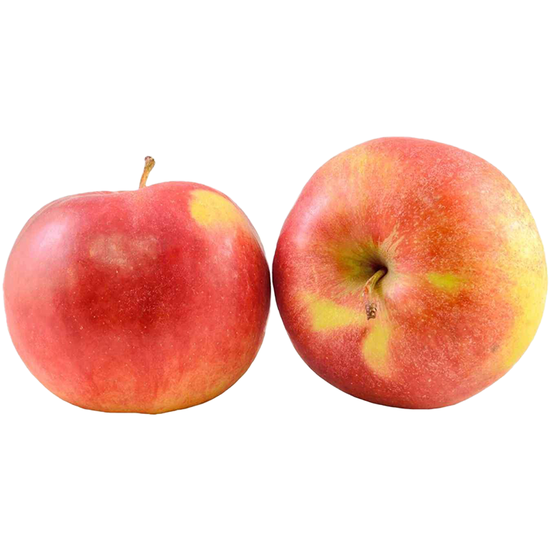 Red Apple - Single varieties which need another Apple to pollinate them!