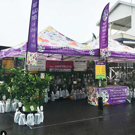 show image