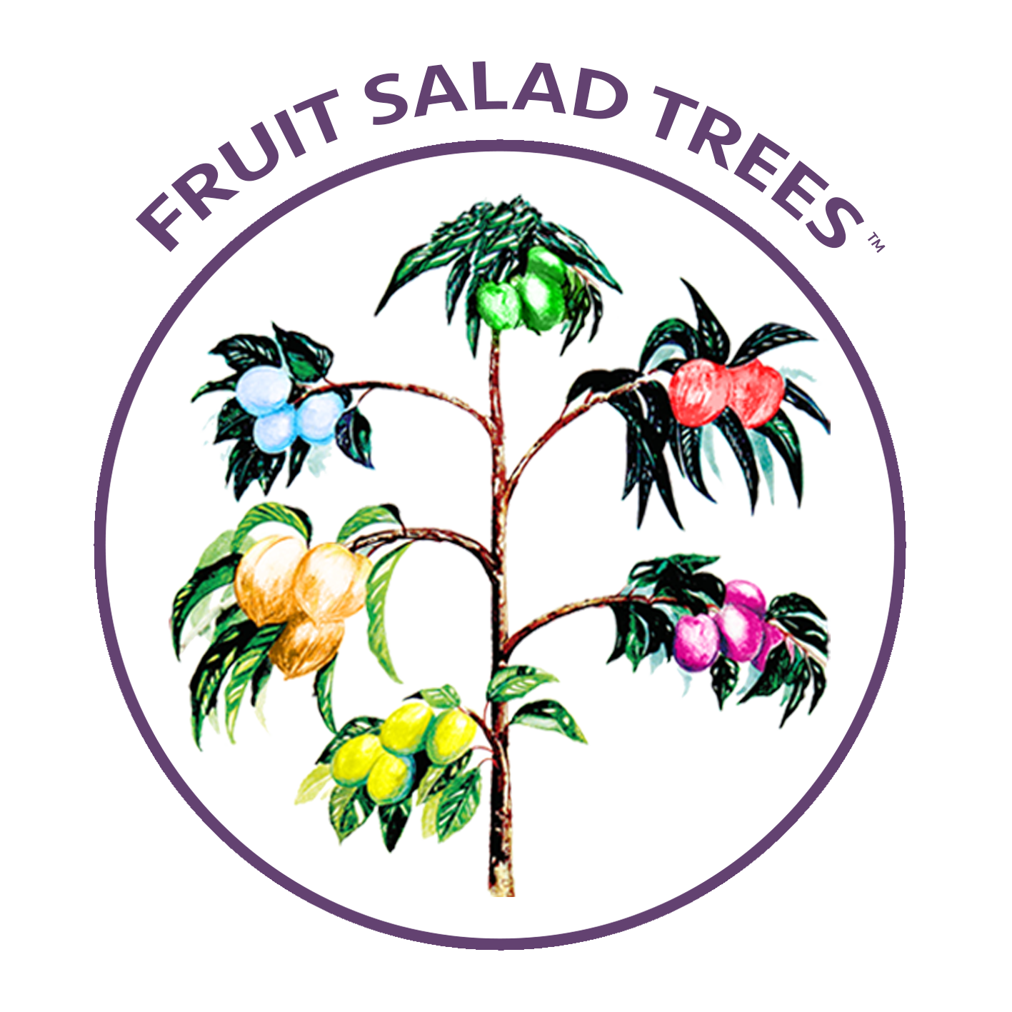 Fruit Salad Trees