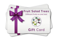$150 Gift Card