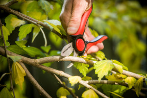 Stainless Steel Secateurs with a Lifetime Warranty