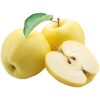 Yellow Apple - Single varieties which need another Apple to pollinate them!