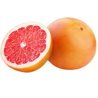Grapefruit