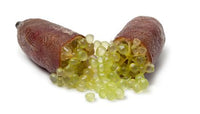 NEW - Finger Lime + Finger Lime